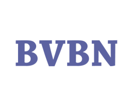 BVBN 第25类服装鞋帽商标转让 注册号45915646