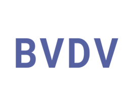 BVDV 第25类服装鞋帽商标转让 注册号42254529