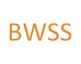 BWSS 第10类医疗器械商标转让 注册号27813783