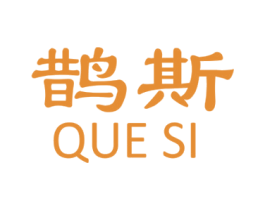 鹊斯 第09类科学仪器商标转让 注册号41091913