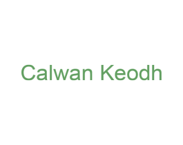 CALWAN KEODH 第03类化妆品商标转让 注册号39885955