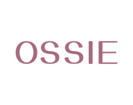OSSIE 第10类医疗器械商标转让 注册号53419781