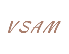 VSAM 第10类医疗器械商标转让 注册号60620218