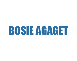 BOSIE AGAGET 第25类服装鞋帽商标转让 注册号62195540