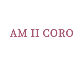 AM II CORO 第25类服装鞋帽商标转让 注册号65245028