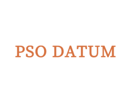 PSO DATUM 第25类服装鞋帽商标转让 注册号65752971