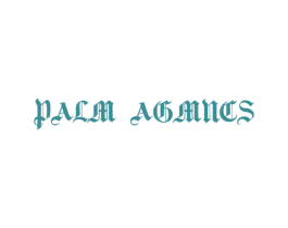 PALM AGMNCS 第25类服装鞋帽商标转让 注册号65703180