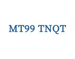 MT99 TNQT 第25类服装鞋帽商标转让 注册号67282948