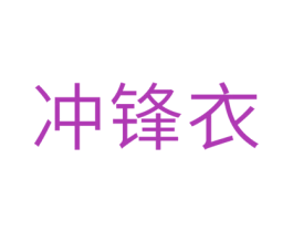 冲锋衣 第10类医疗器械商标转让 注册号29699317