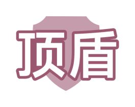 顶盾 第10类医疗器械商标转让 注册号69013354
