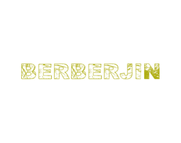 BERBERJIN 第25类服装鞋帽商标转让 注册号29660646