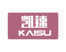 凯速 第09类科学仪器商标转让 注册号62491572