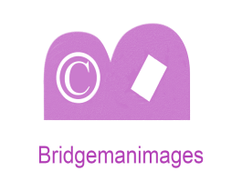 BRIDGEMANIMAGES C 第25类服装鞋帽商标转让 注册号53113133