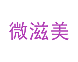 微滋美 第30类小食配料商标转让 注册号53617739