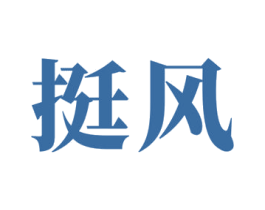 挺风 第05类医药商标转让 注册号64104107