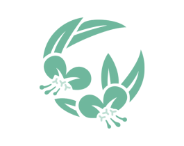 商标效果图