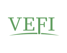 VEFI
