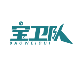 宝卫队