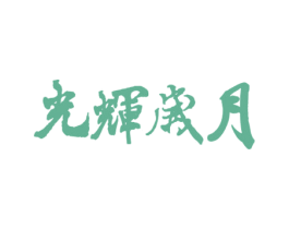 光辉岁月 第10类医疗器械商标转让 注册号65476594
