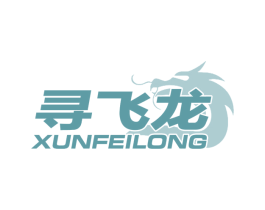 寻飞龙