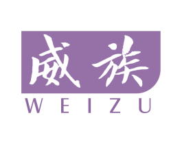 威族 第18类皮革箱包商标转让 注册号65265014
