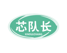芯队长 第09类科学仪器商标转让 注册号61260953