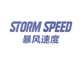 暴风速度 STORM SPEED