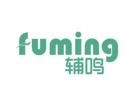 辅鸣 第10类医疗器械商标转让 注册号54751677