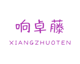 响卓藤XIANGZHUOTEN 第09类科学仪器商标转让 注册号60879848