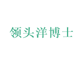 领头洋博士