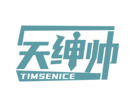 天绅帅 TIMSENICE 第25类服装鞋帽商标转让 注册号62746351