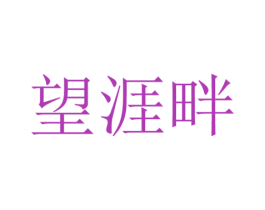 望涯畔 第25类服装鞋帽商标转让 注册号42848550
