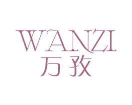 万孜 第05类医药商标转让 注册号65380523