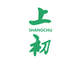 上初
