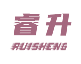 睿升 第16类办公工具商标转让 注册号48409464