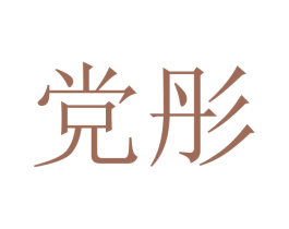 党彤 第25类服装鞋帽商标转让 注册号47305838