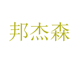 邦杰森 第09类科学仪器商标转让 注册号48515945