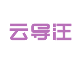 云导汪 第09类科学仪器商标转让 注册号61662658