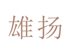 雄扬 第25类服装鞋帽商标转让 注册号29114684