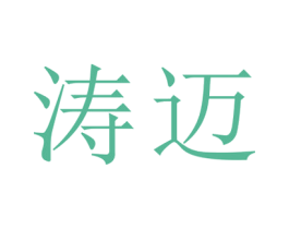 涛迈 第25类服装鞋帽商标转让 注册号29114115