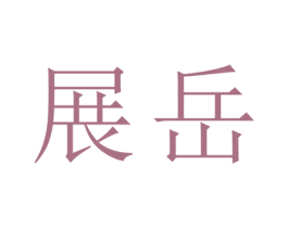 展岳 第25类服装鞋帽商标转让 注册号29113732