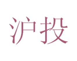 沪投 第42类技术服务商标转让 注册号48119157