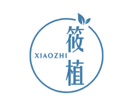筱植