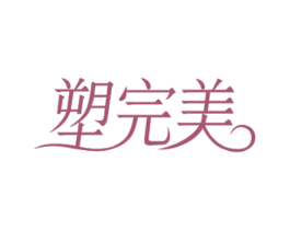 塑完美 第10类医疗器械商标转让 注册号54282393