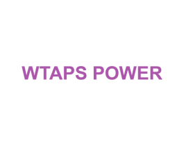 WTAPS POWER 第25类服装鞋帽商标转让 注册号53091516