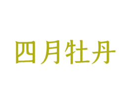 四月牡丹