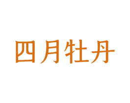 四月牡丹