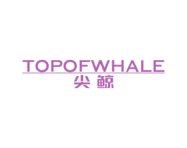 尖鲸 TOPOFWHALE 第09类科学仪器商标转让 注册号44311084