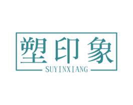 塑印象 第10类医疗器械商标转让 注册号53264931