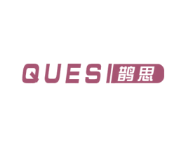 鹊思 第10类医疗器械商标转让 注册号49394306